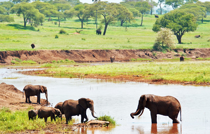 Ultimate Guide to Travel to Tanzania from Australia in 2026 : Costs, Visa & Best Time to Visit