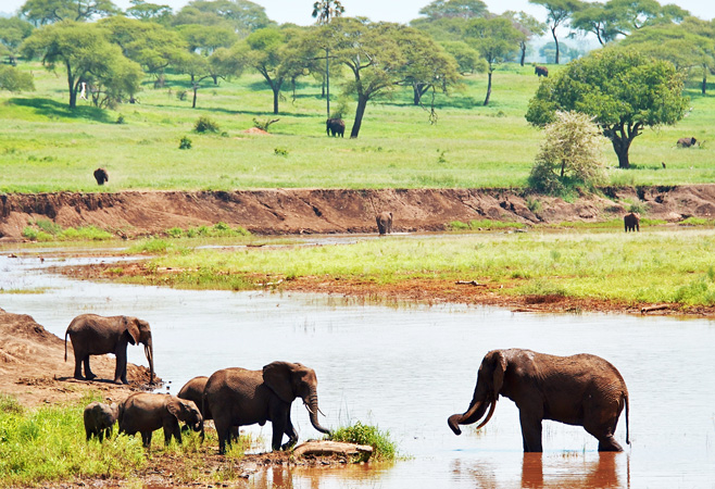 Tanzania, a tapestry of captivating landscapes, diverse wildlife, and rich cultural heritage, beckons with unforgettable experiences. Tanzania, a tapestry of captivating landscapes, diverse wildlife, and rich cultural heritage, beckons with unforgettable experiences.
