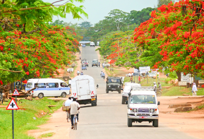 You can reach Mtwara by bus from Dar es Salaam, by car rental, or by flying. You can reach Mtwara by bus from Dar es Salaam, by car rental, or by flying.