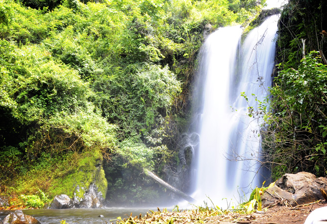 Moshi is known for being the gateway to Mount Kilimanjaro, the highest mountain in Africa, and is also known for its coffee plantations