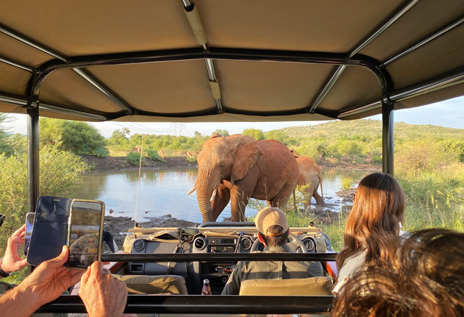 Game drives are a quintessential Tanzania safari activity, allowing you to explore Katavi National Park's diverse wildlife in comfort Game drives are a quintessential Tanzania safari activity, allowing you to explore Katavi National Park's diverse wildlife in comfort