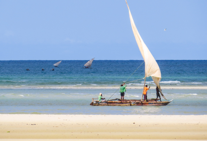 Mnazi Bay–Ruvuma Estuary Marine Park is home to important populations of whales, dolphins, four species of turtles and numerous birds. Mnazi Bay–Ruvuma Estuary Marine Park is home to important populations of whales, dolphins, four species of turtles and numerous birds.