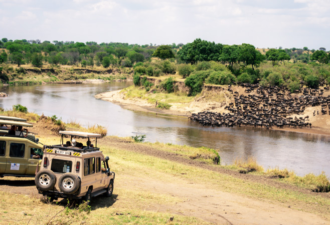 Experience the magic of Tanzania’s Ngorongoro Crater and Serengeti, where vast plains and ancient landscapes set the stage for some of the greatest wildlife spectacles on Earth