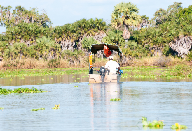One of the unique aspects of Saadani National Park is its proximity to the Indian Ocean, making it an appealing destination for a Tanzania wildlife safari holiday One of the unique aspects of Saadani National Park is its proximity to the Indian Ocean, making it an appealing destination for a Tanzania wildlife safari holiday