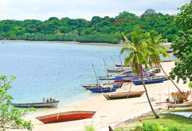 A coastline of clean coral sand beaches as white and soft as rice flour shaded by palm trees and lapped by shimmering blue-green waves of the Indian Ocean A coastline of clean coral sand beaches as white and soft as rice flour shaded by palm trees and lapped by shimmering blue-green waves of the Indian Ocean