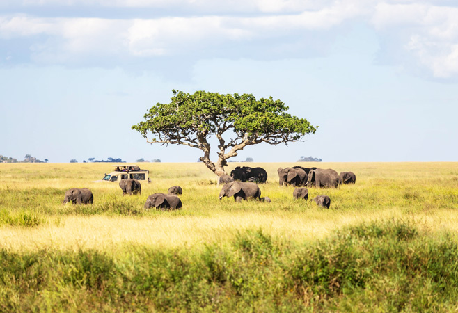 Nature Tanzania commits to using science as a prime source of evidence to influence and drive conservation action in Tanzania