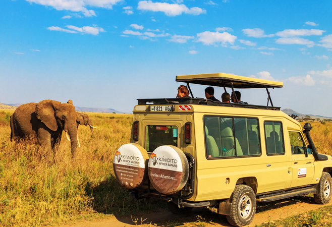 If you are planning a safari to Serengeti National Park, you probably have a ton of questions. If you are planning a safari to Serengeti National Park, you probably have a ton of questions.
