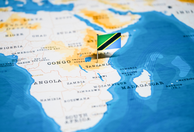 Tanzania allows eVisa holders to enter through select border crossings, ensuring a smooth immigration process Tanzania allows eVisa holders to enter through select border crossings, ensuring a smooth immigration process