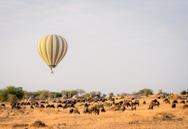 A Hot Air Balloon Safari across the Serengeti in Tanzania is a once-in-a-lifetime adventure.