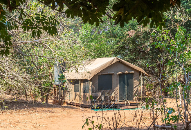 Katavi Wildlife Camp offers a remote, intimate safari with high wildlife concentration, including large buffalo herds, and rare species, in a secluded area Katavi Wildlife Camp offers a remote, intimate safari with high wildlife concentration, including large buffalo herds, and rare species, in a secluded area