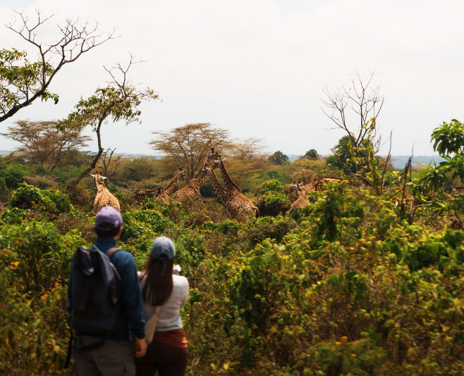 Walking Safari in Arusha National Park gives you a whole new and unique perspective of Tanzania´s wildlife and it truly is super exciting