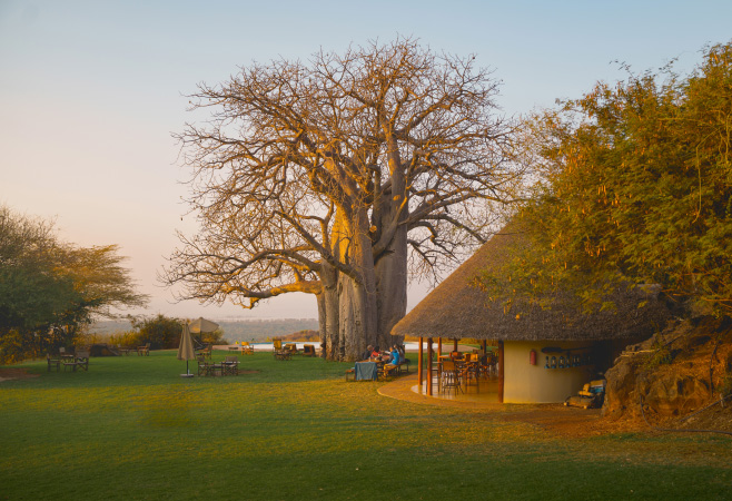 Find out the best places to stay near  Pugu Hills