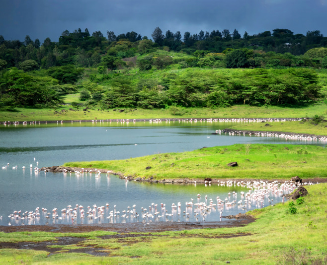 The best time to spot wildlife is during the dry season from June to October.