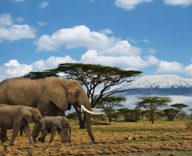 The best time for climbing is during the dry season from late June to October.