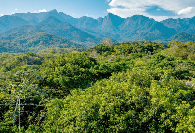 June to October for cooler weather and better hiking conditions; year-round for birdwatching