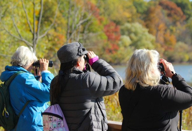 The evergreen forest is home to over 80 species of birds, making it a paradise for birdwatchers