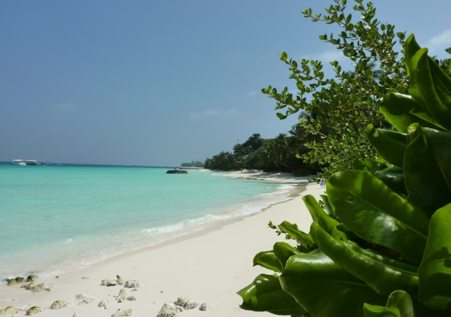 Chumbe Island is the perfect place to relax and rejuvenate amidst nature’s tranquility