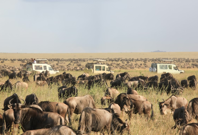 For global applicants not covered by Tanzania’s visa exemption policy, the e-Visa Tanzania system offers a convenient and efficient solution