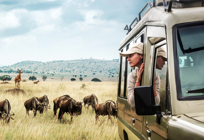 Under the updated visa exemption arrangements, Tanzania allows citizens of several designated countries and territories to enter without applying for a visa, subject to immigration regulations.