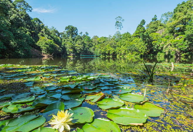 Climb short trails or overlooks for stunning views of Dar es Salaam City, the harbour, and the hills.