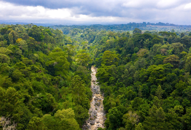 Cool rainforest climate and a spectacular view over the plain