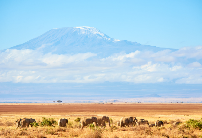 Tanzania offers exciting, educational family trips with safaris, beaches, and friendly locals