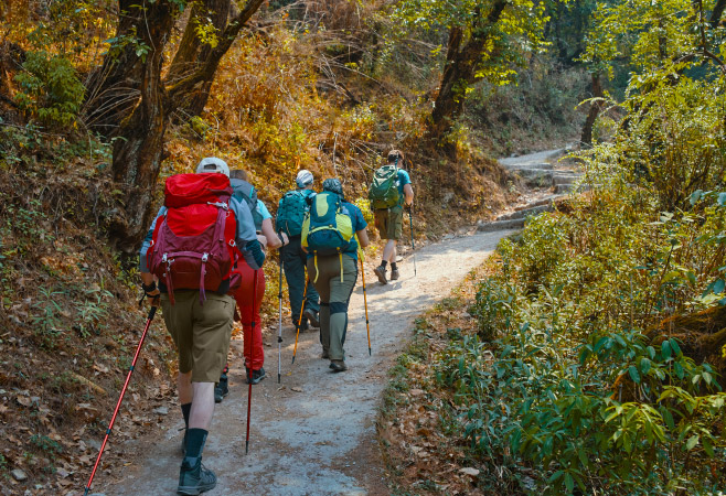 A trail circles the southern part of the dense coral rag forest on Chumbe Island.