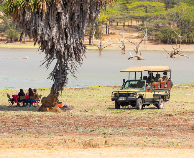 Embark on thrilling interactive safari game drives at  Nyerere National Park