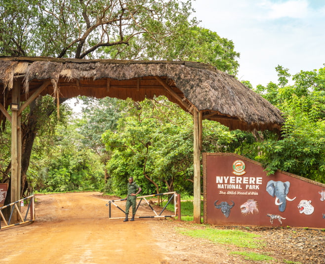 This gate is the main gate and most preferred entry and exit gate to Nyerere national park because it is on the main road from Kibiti Town