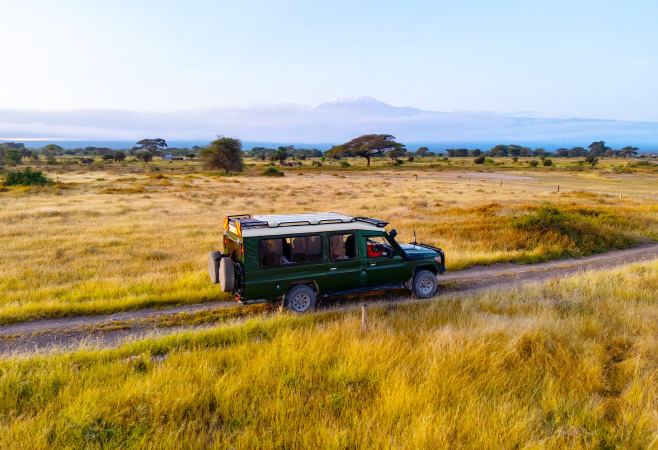 To reach Ruaha National Park by road, you can start from Iringa town