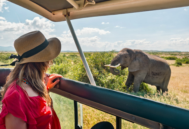 The park offers both morning and afternoon Game Drives, allowing visitors to observe a wide array of wildlife