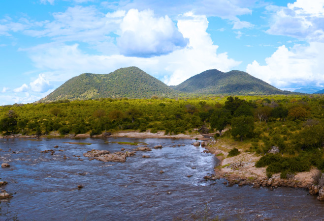 The Great Ruaha River runs through Ruaha National Park, serving as a vital water source that attracts a wide variety of wildlife