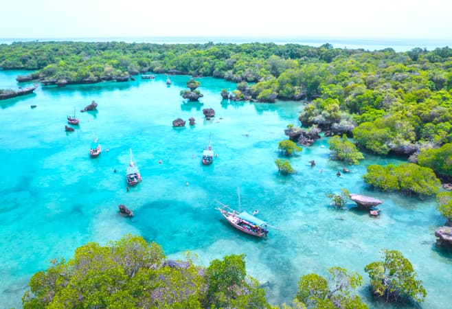 Best time to book holiday packages from South Africa to Zanzibar Best time to book holiday packages from South Africa to Zanzibar