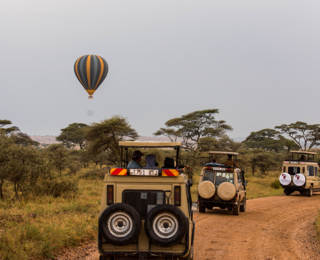 Kilimanjaro National Park can be reached by road from Arusha city