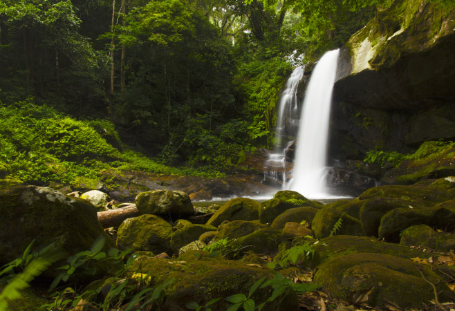 Kakombe Waterfall is a hidden jungle sanctuary where nature speaks in mist and melody.