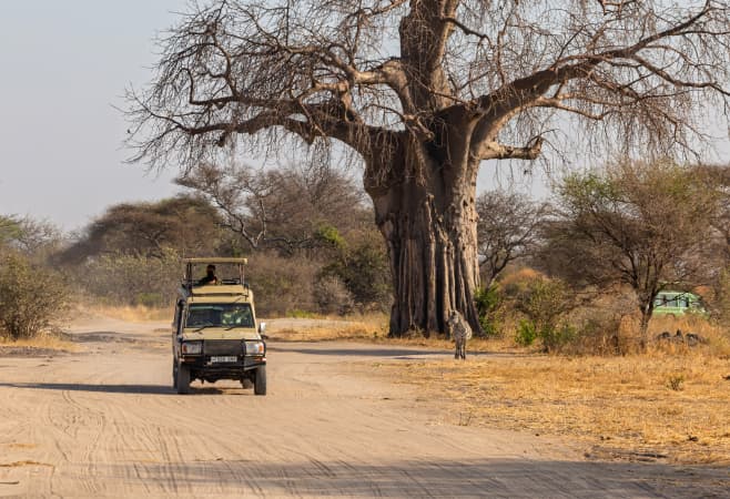 Kenya to Tanzania distance by road Kenya to Tanzania distance by road