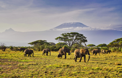 Day Trip to Kilimanjaro National Park: A Gateway to Africa’s Roof