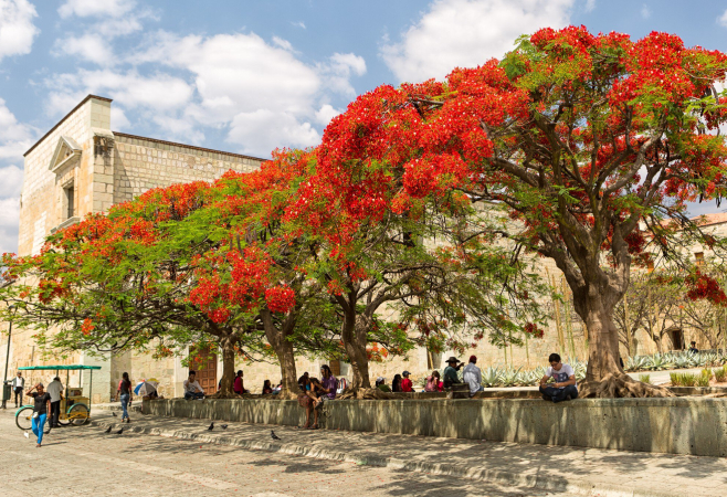 Known for its striking architectural design, the cathedral features a tall central tower, wide arches, and a spacious interior that creates a calm and reverent atmosphere Known for its striking architectural design, the cathedral features a tall central tower, wide arches, and a spacious interior that creates a calm and reverent atmosphere