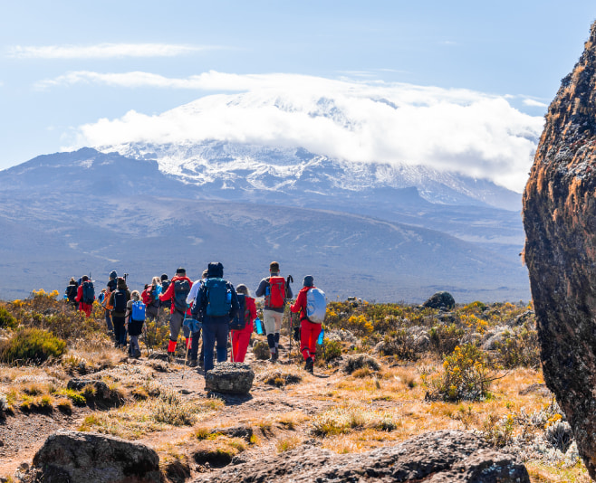 Experience the magic of Mount Kilimanjaro on our one-day hike , perfect for travelers with limited time