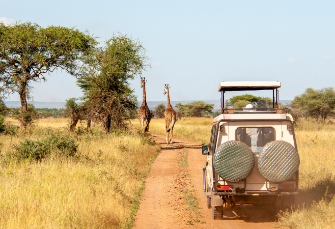 Tanzania’s sheer variety can feel overwhelming at first, but think of it as an opportunity rather than a challenge. Each region has its own personality, rhythm, and spectacular offerings