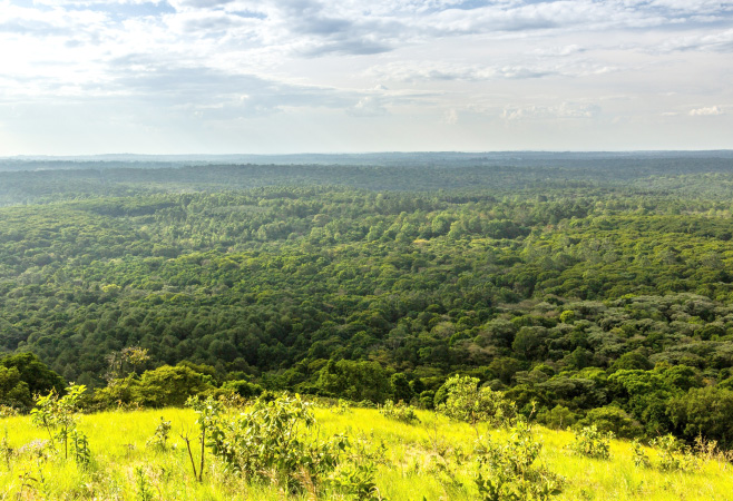 This picturesque reserve is a haven for hiking enthusiasts, nature lovers, and anyone seeking a peaceful retreat from urban life