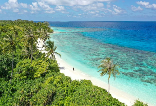 There can be multiple reasons one might apply for a Tourist e-Visa to Tanzania There can be multiple reasons one might apply for a Tourist e-Visa to Tanzania