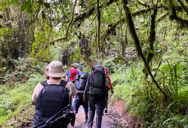 Hiking in the Pugu Hills Forest Reserve is a popular activity that offers stunning views of nature, ideal for photography and outdoor enjoyment.