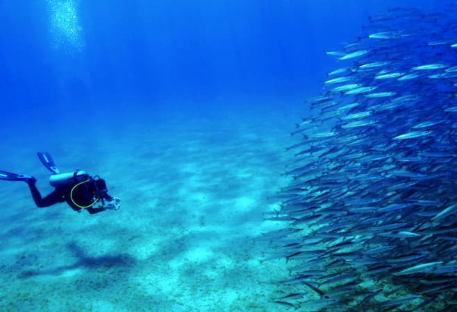 Kendwa Beach is a great spot for scuba diving, with many dive shops offering equipment rentals and guided dives.