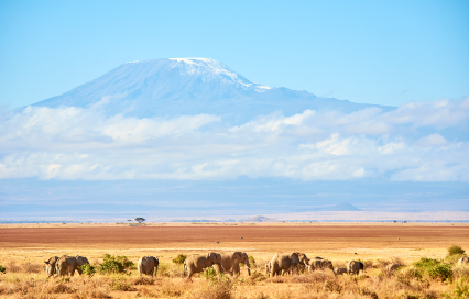 Tanzania Family Holiday Guide: Creating Memories That Last a Lifetime