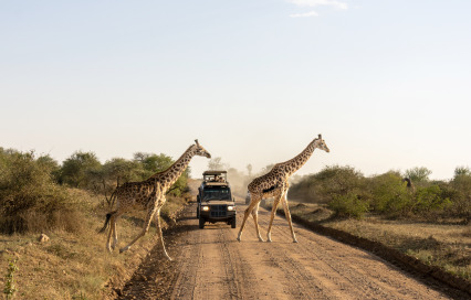 Affordable Tanzania Safari and Zanzibar Packages from UK