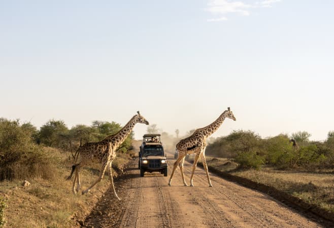 Affordable Tanzania Safari and Zanzibar Packages from UK Affordable Tanzania Safari and Zanzibar Packages from UK