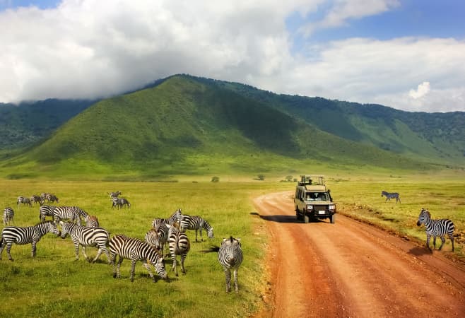 Best time to book Tanzania safari and Zanzibar packages from UK Best time to book Tanzania safari and Zanzibar packages from UK