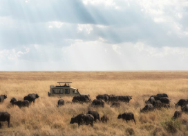 Understanding Tanzania’s Visa-Free Entry System in 2026 : A Complete Guide for Foreign Nationals