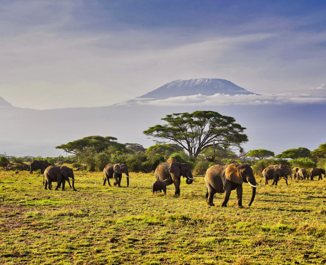 Kilimanjaro National Park is a captivating destination that offers a unique blend of natural beauty, cultural immersion, and adventure